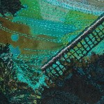 Whispers in the Wind