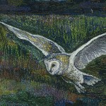 Do You See What I See?