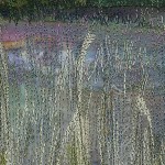 Do You See What I See?