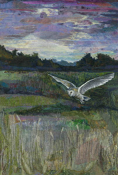 Do You See What I See?